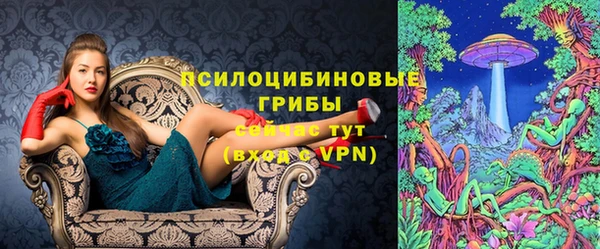 бутират Алзамай