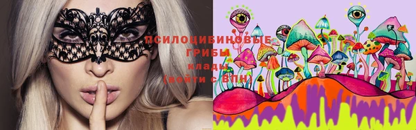 круглые Алексеевка