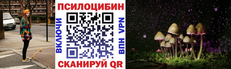 Псилоцибиновые грибы мицелий  купить   Тихвин 