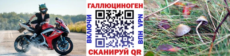 Галлюциногенные грибы MAGIC MUSHROOMS Тихвин
